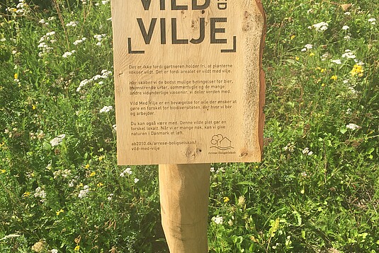 Læs om Bæredygtighed på Nærum Gymnasium